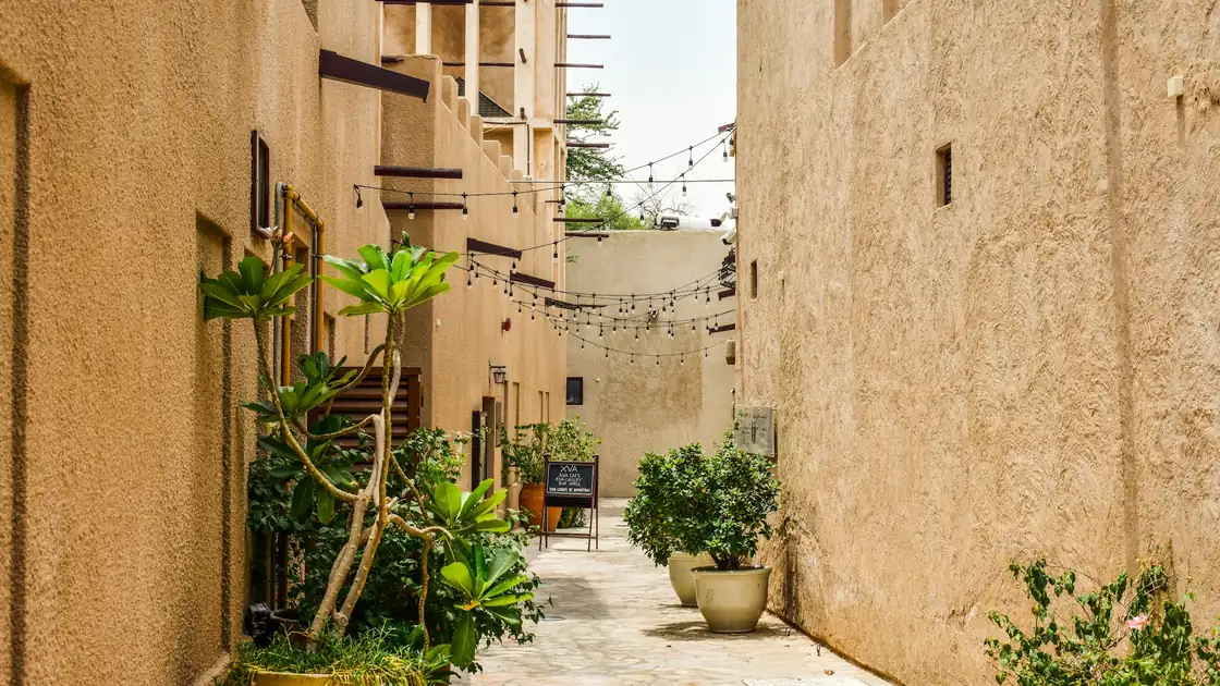 A narrow lane between sand-coloured houses with potted plants
