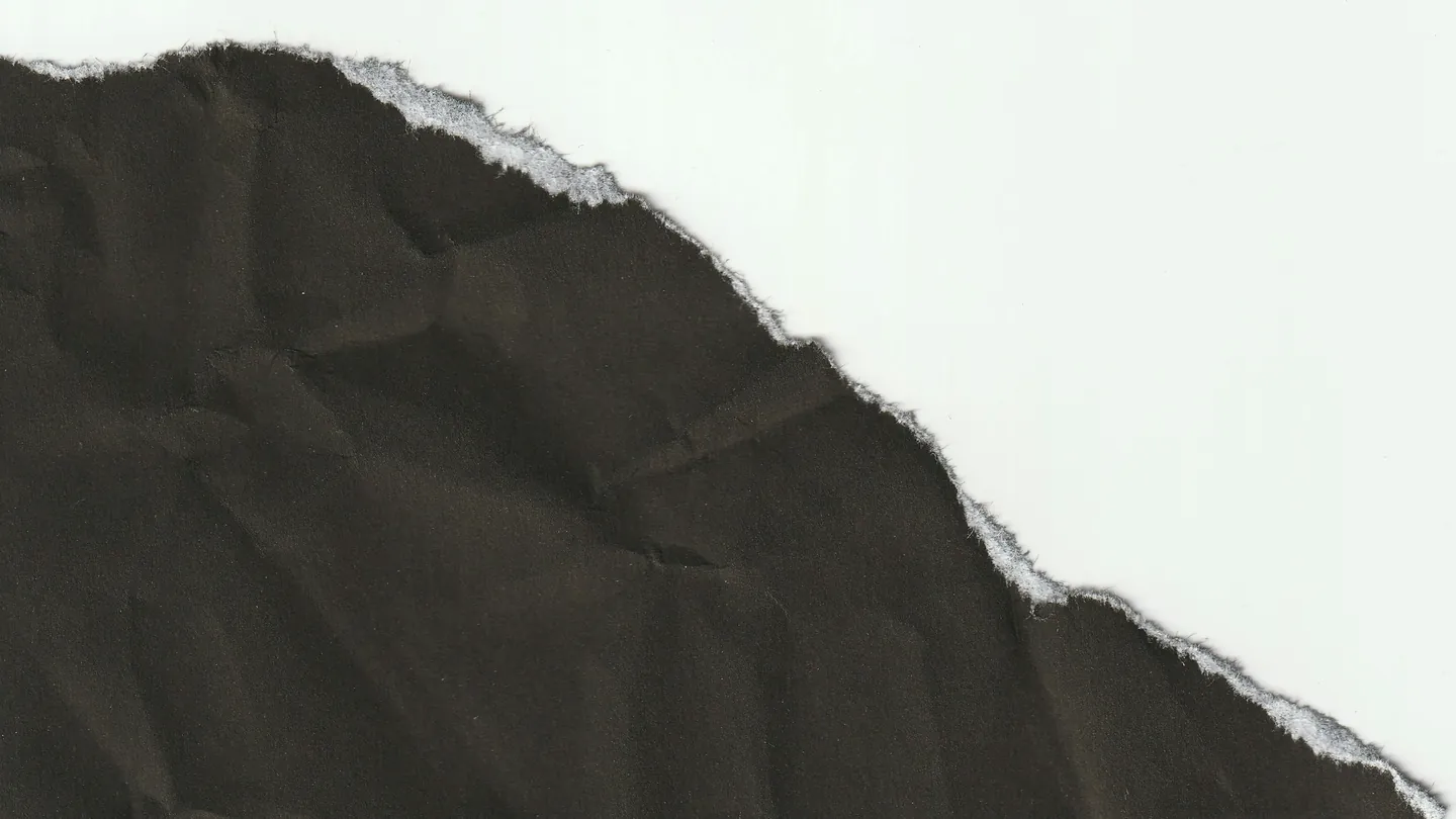 Torn sheet of paper